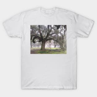 In the Trees T-Shirt